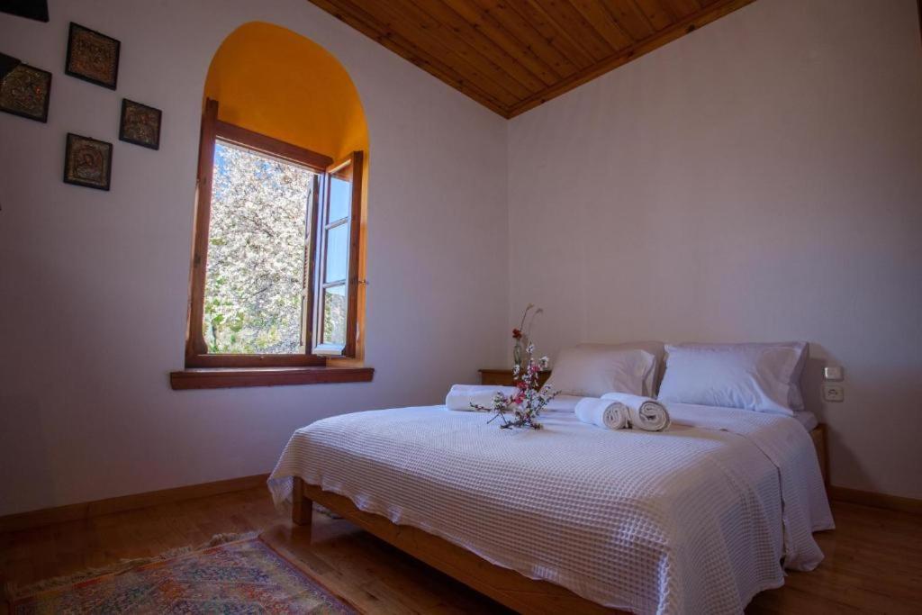 Eremia Rustic House - Entire Villa In Pelion Makrinítsa المظهر الخارجي الصورة