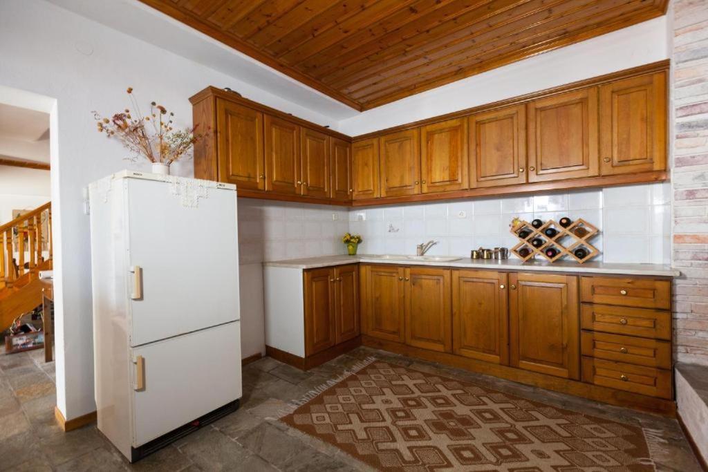 Eremia Rustic House - Entire Villa In Pelion Makrinítsa المظهر الخارجي الصورة