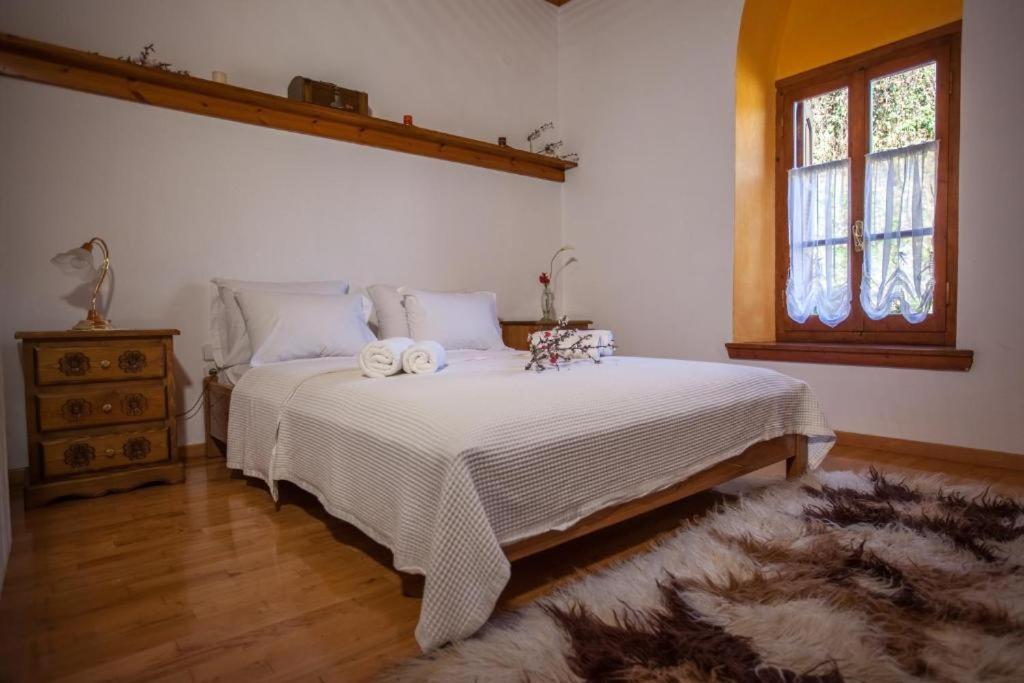 Eremia Rustic House - Entire Villa In Pelion Makrinítsa المظهر الخارجي الصورة