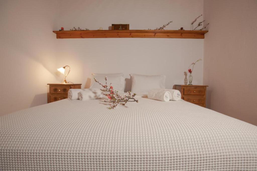 Eremia Rustic House - Entire Villa In Pelion Makrinítsa المظهر الخارجي الصورة