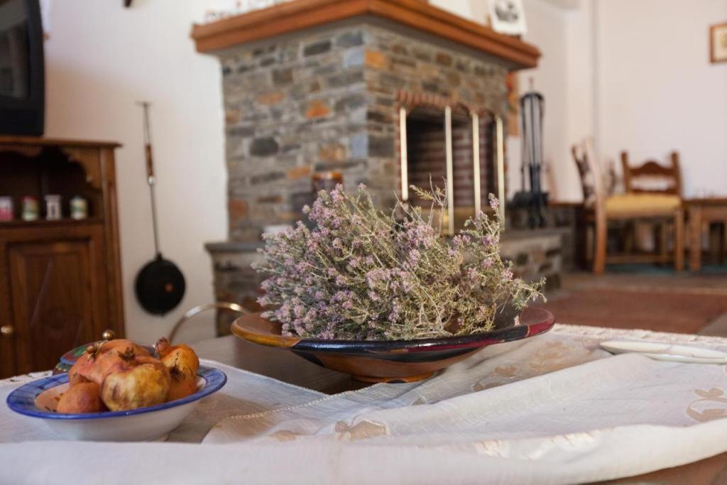 Eremia Rustic House - Entire Villa In Pelion Makrinítsa المظهر الخارجي الصورة