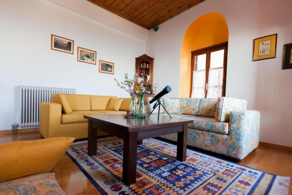 Eremia Rustic House - Entire Villa In Pelion Makrinítsa المظهر الخارجي الصورة