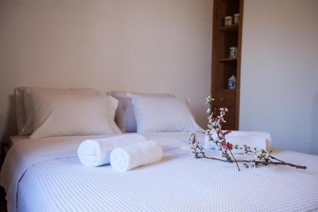 Eremia Rustic House - Entire Villa In Pelion Makrinítsa المظهر الخارجي الصورة