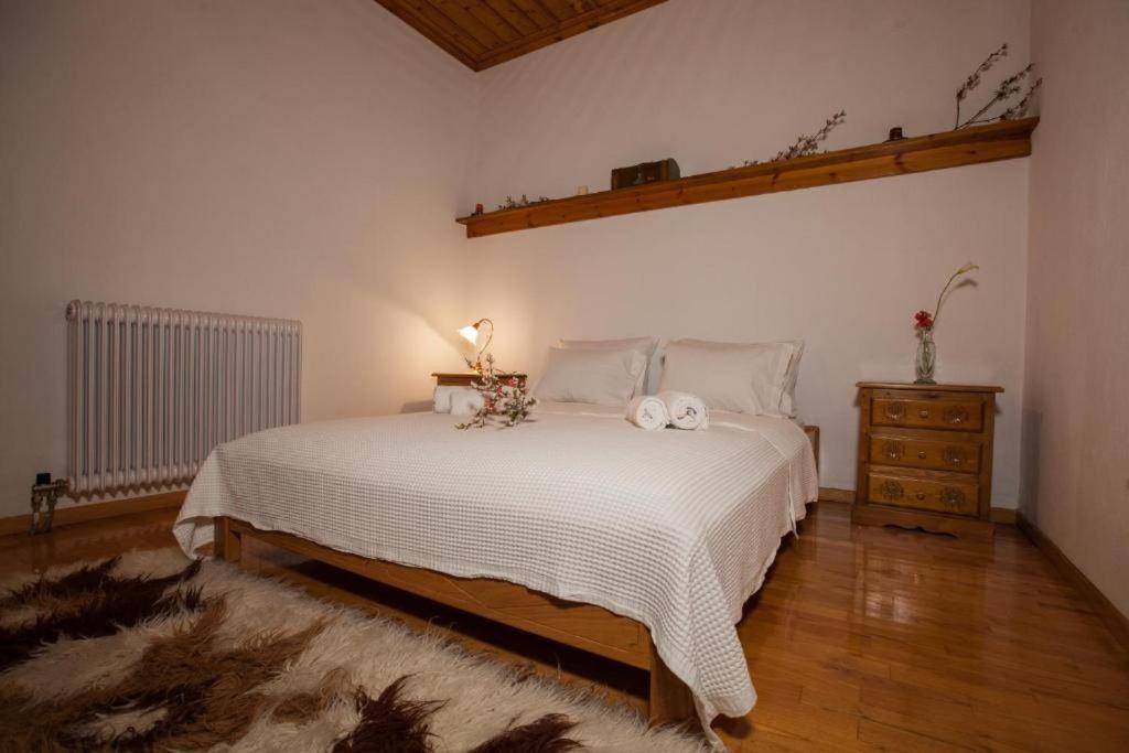 Eremia Rustic House - Entire Villa In Pelion Makrinítsa المظهر الخارجي الصورة